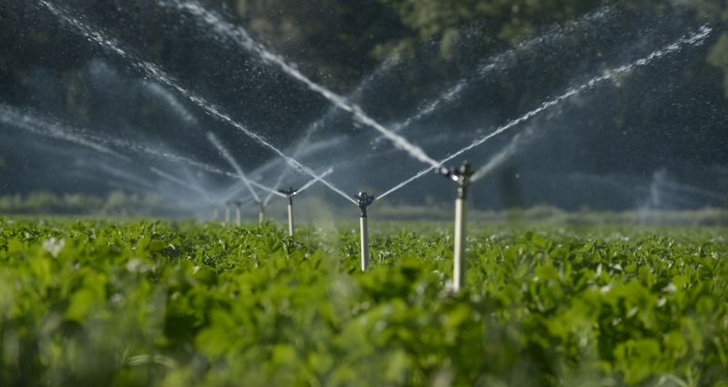 Irrigation and Water Management Experts