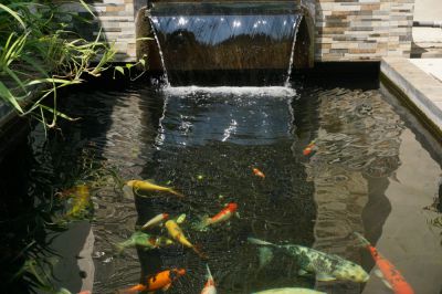 Ecosystem balance